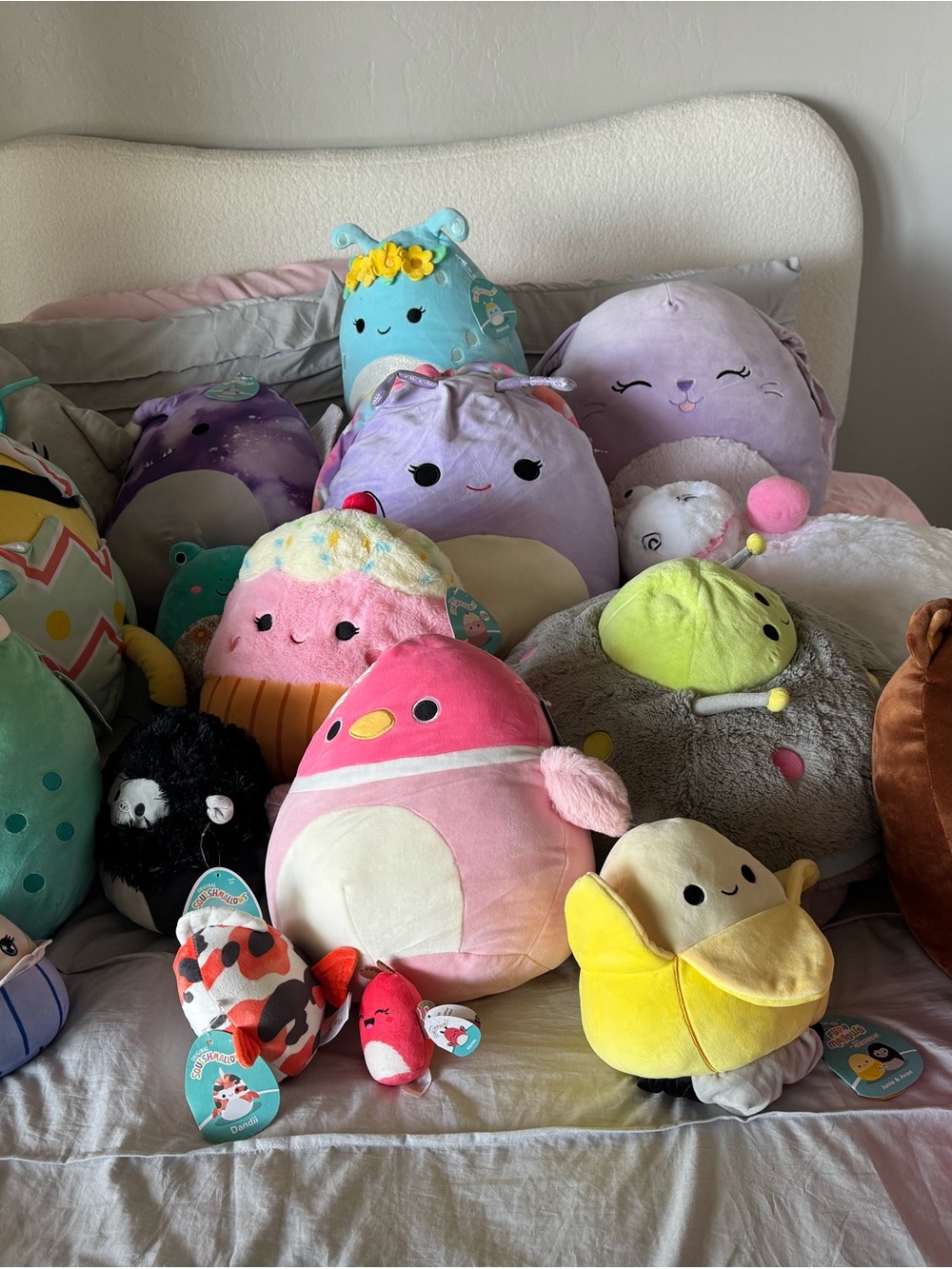 Squishmallows Collection - lot of 21